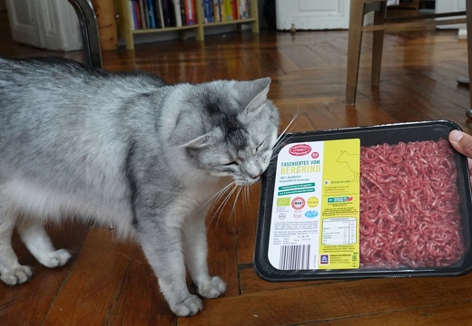 Aldo-Approved-Frischesiegel