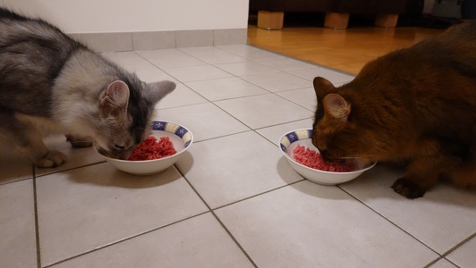 Aldo-Approved-Frischesiegel-3-Faschiertes-vom-Bergrind-3